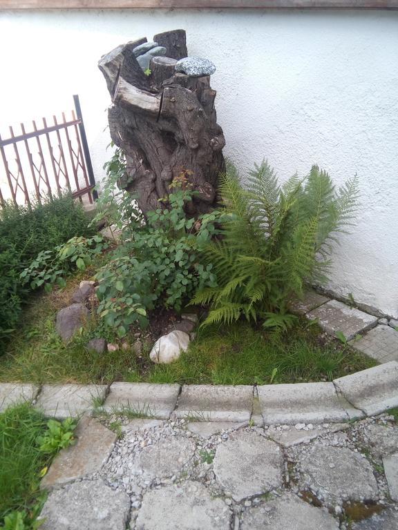 Guest House Ahp Mala Tsurkva Bagian luar foto