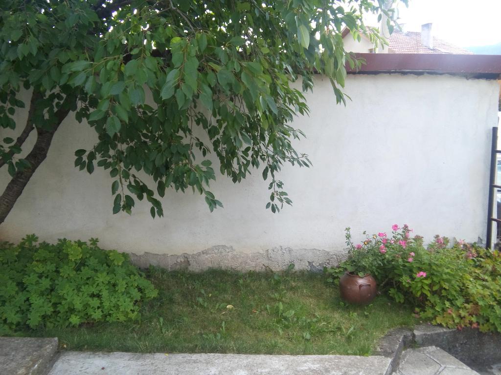 Guest House Ahp Mala Tsurkva Bagian luar foto