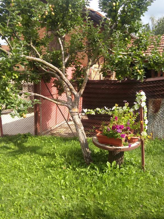 Guest House Ahp Mala Tsurkva Bagian luar foto